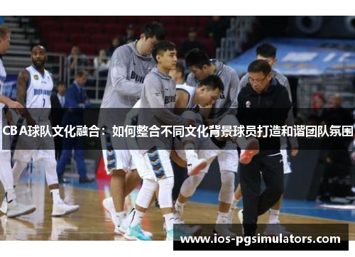 CBA球队文化融合：如何整合不同文化背景球员打造和谐团队氛围
