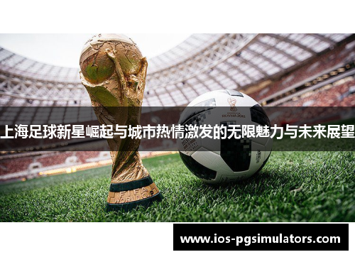 上海足球新星崛起与城市热情激发的无限魅力与未来展望