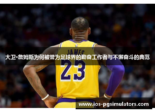 大卫·詹姆斯为何被誉为足球界的勤奋工作者与不懈奋斗的典范