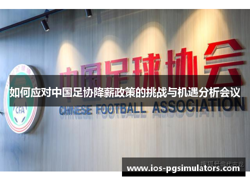 如何应对中国足协降薪政策的挑战与机遇分析会议