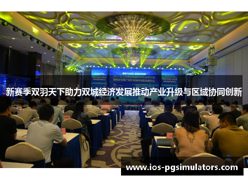 新赛季双羽天下助力双城经济发展推动产业升级与区域协同创新