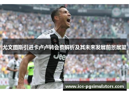 尤文图斯引进卡卢卢转会费解析及其未来发展前景展望