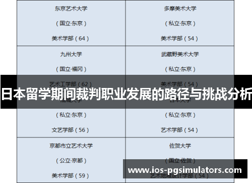 日本留学期间裁判职业发展的路径与挑战分析