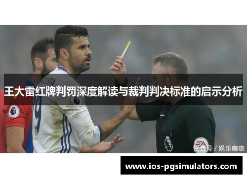 王大雷红牌判罚深度解读与裁判判决标准的启示分析