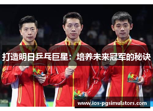 打造明日乒乓巨星：培养未来冠军的秘诀