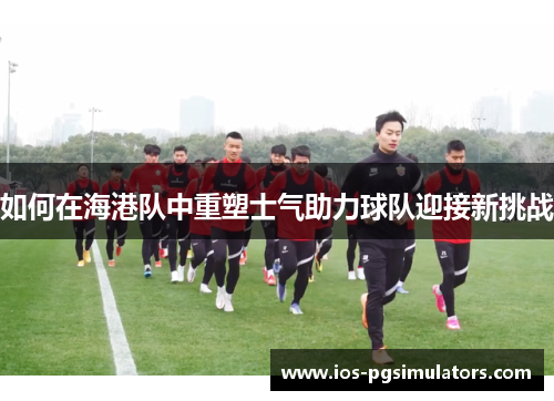 如何在海港队中重塑士气助力球队迎接新挑战