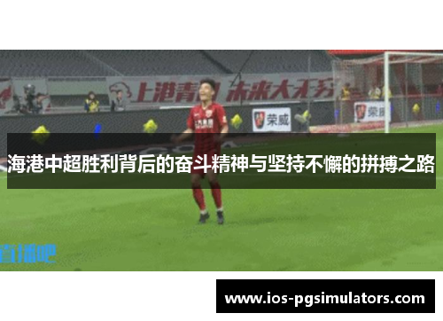 海港中超胜利背后的奋斗精神与坚持不懈的拼搏之路