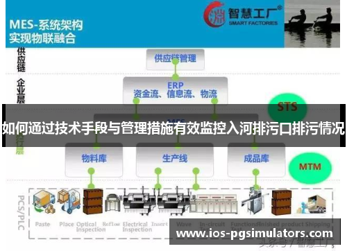 如何通过技术手段与管理措施有效监控入河排污口排污情况