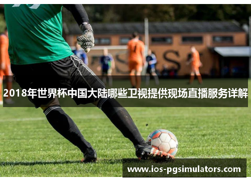 2018年世界杯中国大陆哪些卫视提供现场直播服务详解