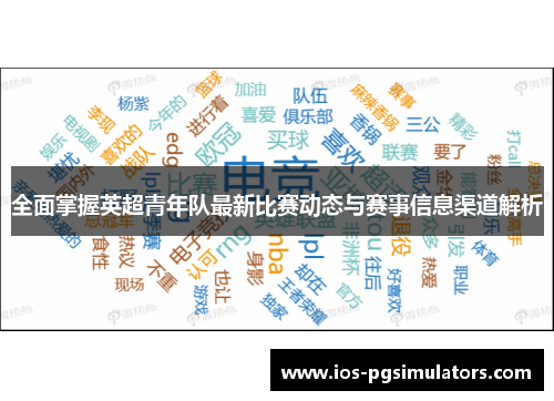 全面掌握英超青年队最新比赛动态与赛事信息渠道解析
