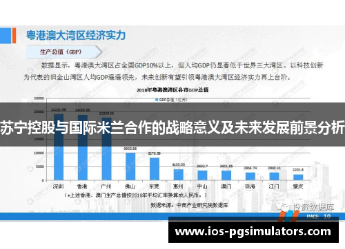 苏宁控股与国际米兰合作的战略意义及未来发展前景分析