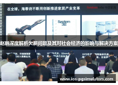 赵鹏深度解析欠薪问题及其对社会经济的影响与解决方案