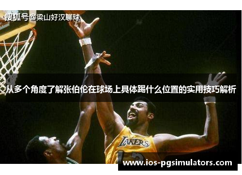 从多个角度了解张伯伦在球场上具体踢什么位置的实用技巧解析