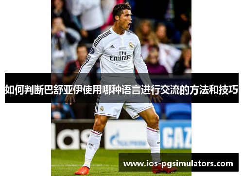 如何判断巴舒亚伊使用哪种语言进行交流的方法和技巧