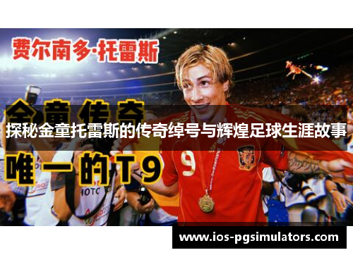 探秘金童托雷斯的传奇绰号与辉煌足球生涯故事