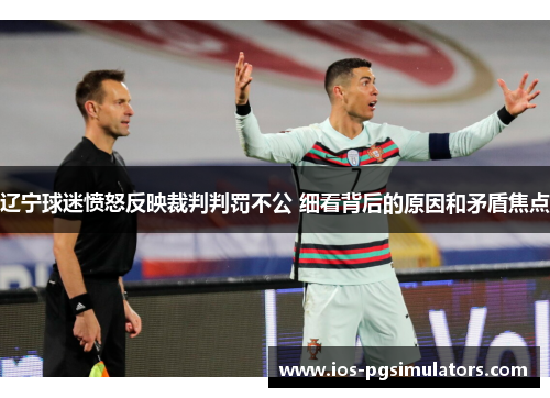 辽宁球迷愤怒反映裁判判罚不公 细看背后的原因和矛盾焦点